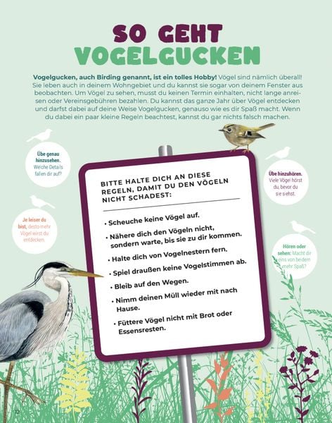 Produktbild: Birding &ndash; Entdecke die Wunderwelt der V&ouml;gel.