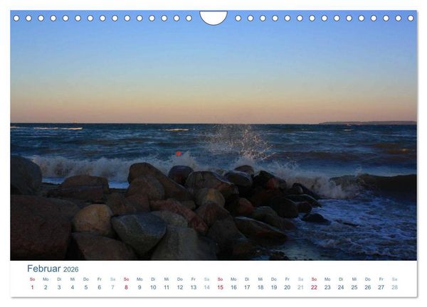 Produktbild: Schwansen 2026. Impressionen zwischen Schlei und Ostsee (Wandkalender 2026 DIN A4 quer), CALVENDO Monatskalender