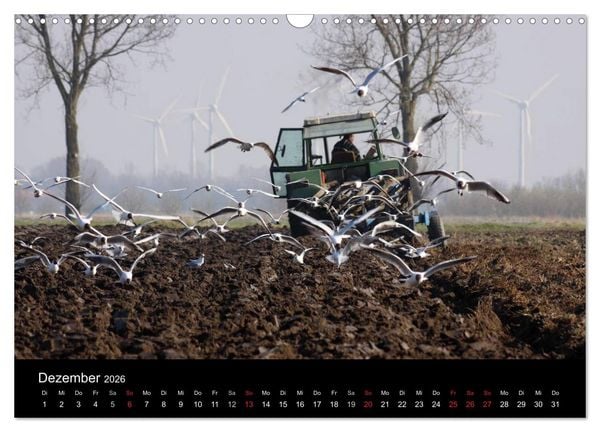 Produktbild: Trecker & Co. bei der Arbeit - Landwirtschaft in Ostfriesland (Wandkalender 2026 DIN A3 quer), CALVENDO Monatskalender