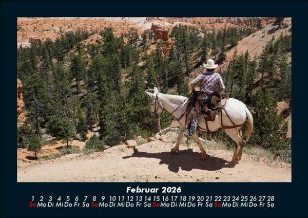 Produktbild: Pferdetraum 2026 Fotokalender DIN A5