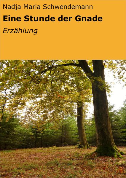 Produktbild: Eine Stunde der Gnade