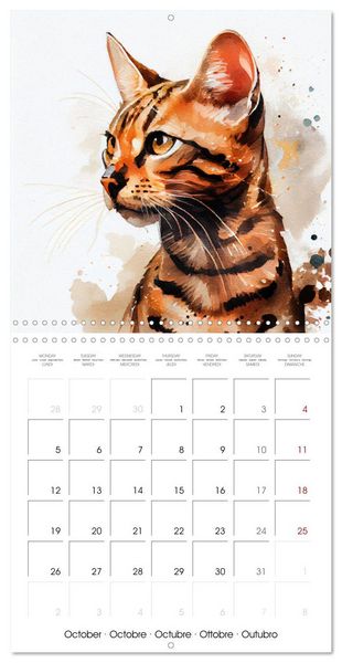 Produktbild: Artistic Cat Breeds (Wall Calendar 2026 12 &times; 12 Inch) CALVENDO 12 Month Wall Calendar