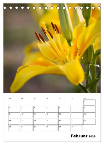 Produktbild: Farben der Natur (Tischkalender 2026 DIN A5 hoch), CALVENDO Monatskalender