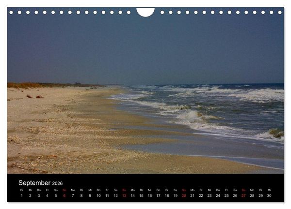 Produktbild: Donaudelta (Wandkalender 2026 DIN A4 quer), CALVENDO Monatskalender