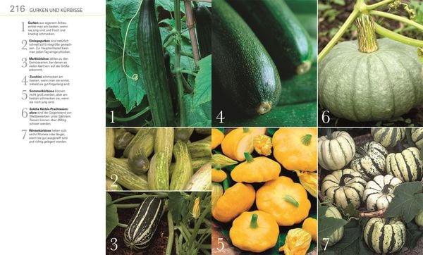 Produktbild: Gem&uuml;se f&uuml;r jeden Garten