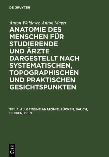 Produktbild: Allgemeine Anatomie, R&uuml;cken, Bauch, Becken, Bein