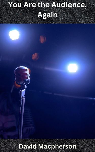 Produktbild: You Are the Audience, Again