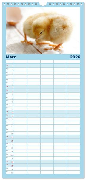 Produktbild: Familienplaner 2026 - K&uuml;ken in der Kinderstube mit 5 Spalten (Wandkalender, 21 x 45 cm) CALVENDO