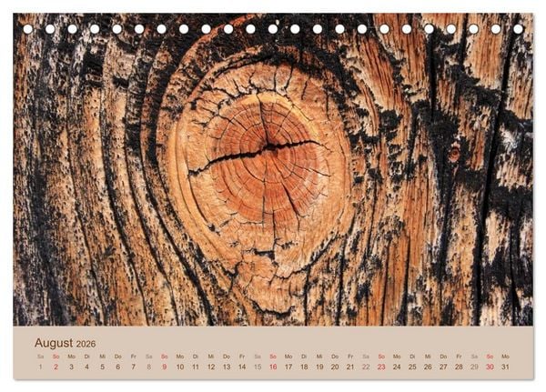 Produktbild: Farben des Holzes (Tischkalender 2026 DIN A5 quer), CALVENDO Monatskalender