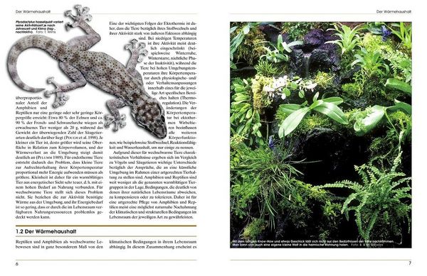 Produktbild: Terrarieneinrichtung