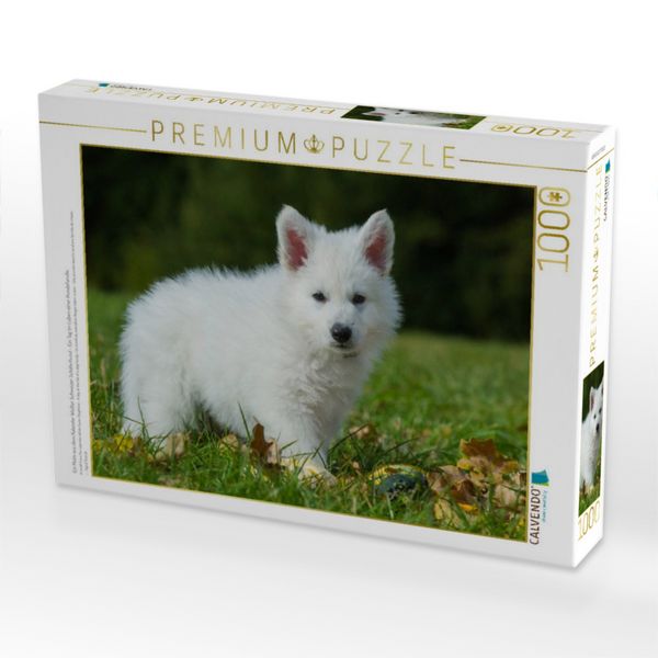 Produktbild: CALVENDO Puzzle Ein Motiv aus dem Kalender Wei&szlig;er Schweizer Sch&auml;ferhund - Ein Tag im Leben einer Hundefamilie | 1000 Teile Lege-Gr&ouml;&szlig;e 64x48cm Foto-Puzzle f&uuml;r gl&uuml;ckliche Stunden