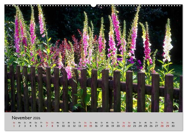Produktbild: Blumen &uuml;berall, zur Freude Menschen (Wandkalender 2026 DIN A2 quer), CALVENDO Monatskalender