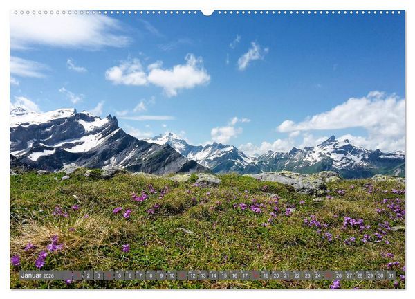 Produktbild: Flora der Alpen (hochwertiger Premium Wandkalender 2026 DIN A2 quer), Kunstdruck in Hochglanz