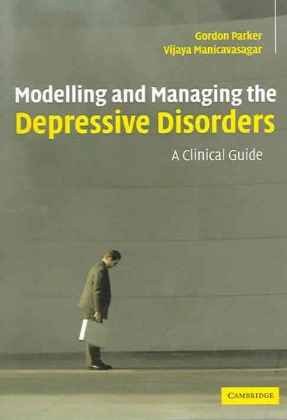 Produktbild: Modelling Managing Depressive Order