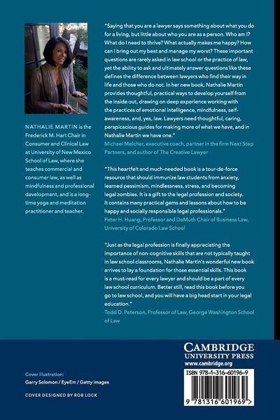 Produktbild: Lawyering from the Inside Out