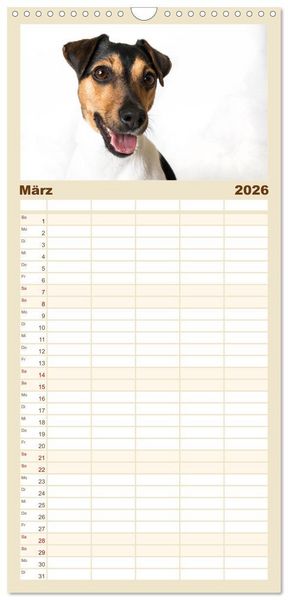 Produktbild: Familienplaner 2026 - Kleine Hunde - Gro&szlig;e Blicke mit 5 Spalten (Wandkalender, 21 x 45 cm) CALVENDO