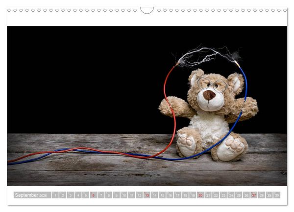 Produktbild: Eddy, der Teddy - 12 Bilder zum Schmunzeln (Wandkalender 2026 DIN A3 quer), CALVENDO Monatskalender