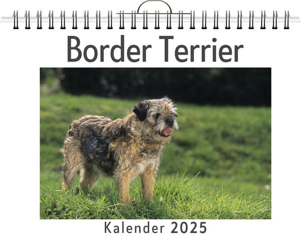Produktbild: Border Terrier