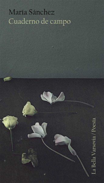Produktbild: Cuaderno de campo