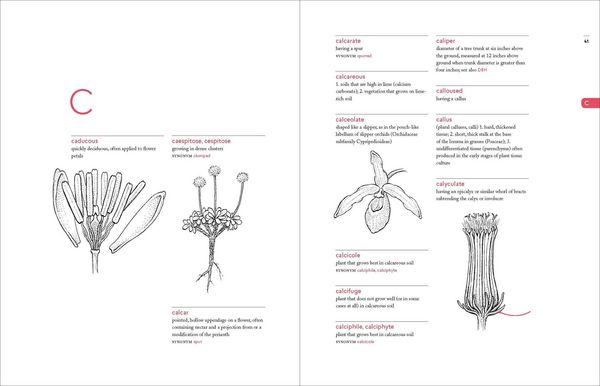 Produktbild: A Botanist's Vocabulary