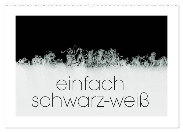 Produktbild: einfach schwarz-wei&szlig; (Wandkalender 2026 DIN A2 quer), CALVENDO Monatskalender