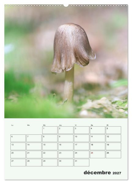 Produktbild: Champignons magiques - Beaut&eacute;s &eacute;ph&eacute;m&egrave;res (Calendrier mural 2027 DIN A2 horizontal), CALVENDO calendrier mensuel