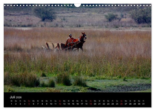 Produktbild: Donaudelta (Wandkalender 2026 DIN A3 quer), CALVENDO Monatskalender