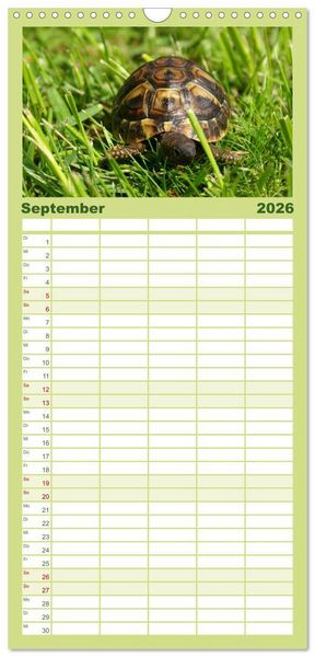 Produktbild: Familienplaner 2026 - Das Leben der Schildkr&ouml;ten mit 5 Spalten (Wandkalender, 21 x 45 cm) CALVENDO