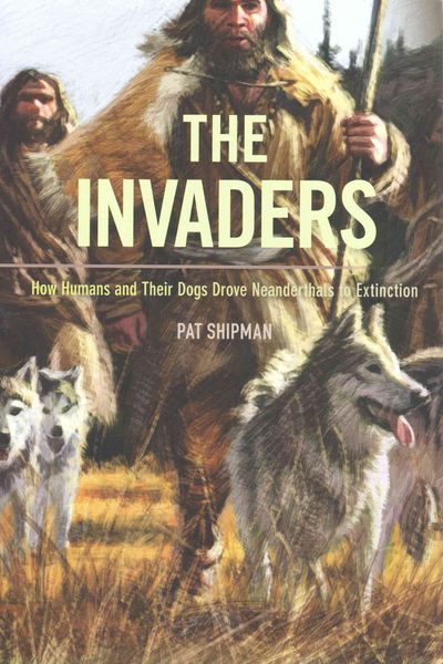 Produktbild: Shipman, P: Invaders