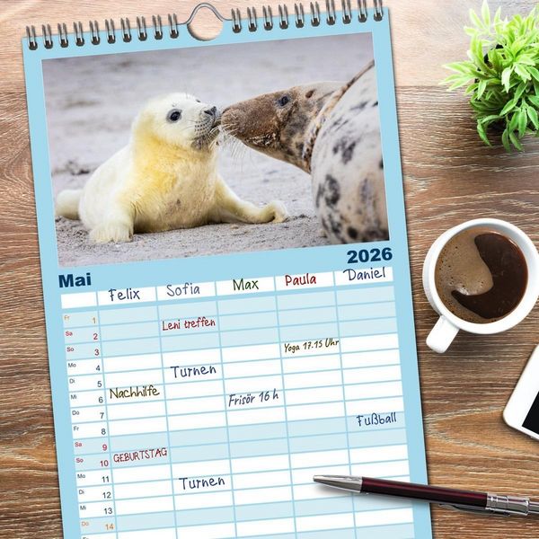 Produktbild: Familienplaner 2026 - Junge Kegelrobben mit 5 Spalten (Wandkalender, 21 x 45 cm) CALVENDO