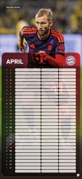 Produktbild: FC Bayern M&uuml;nchen Fanplaner 2027