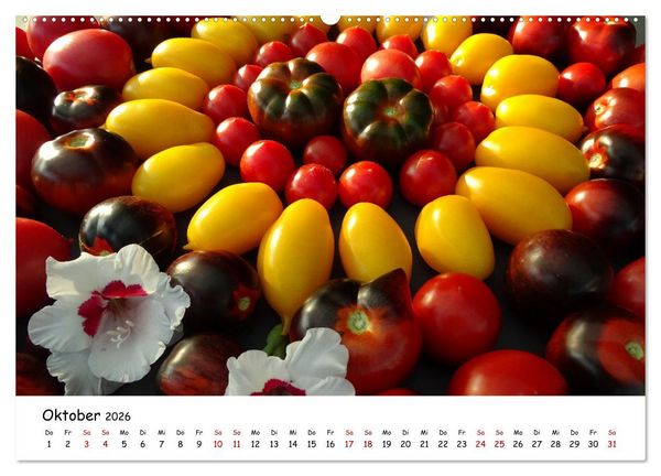 Produktbild: Tomaten Satt (hochwertiger Premium Wandkalender 2026 DIN A2 quer), Kunstdruck in Hochglanz