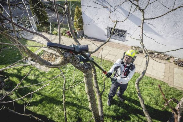 Produktbild: Metabo 600856850 Geh&ouml;lzs&auml;ge ohne Akku, ohne Ladeger&auml;t Schwertl&auml;nge 150mm