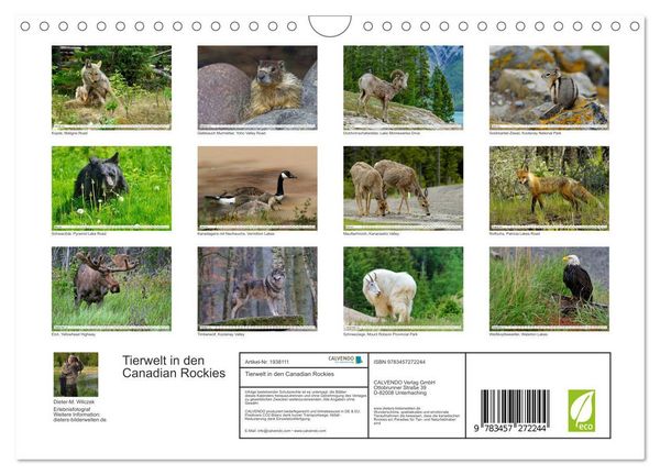 Produktbild: Tierwelt in den Canadian Rockies (Wandkalender 2026 DIN A4 quer), CALVENDO Monatskalender