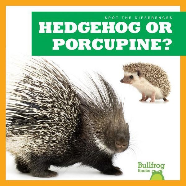 Produktbild: Hedgehog or Porcupine?