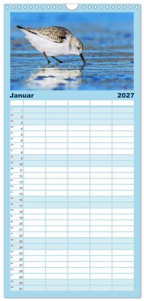 Produktbild: Familienplaner 2027 - Limikolen - Watv&ouml;gel aus Europa mit 5 Spalten (Wandkalender, 21 x 45 cm) CALVENDO