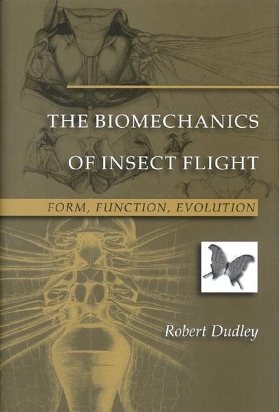 Produktbild: The Biomechanics of Insect Flight