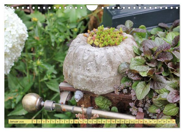 Produktbild: Gartenzauber (Wandkalender 2026 DIN A4 quer), CALVENDO Monatskalender