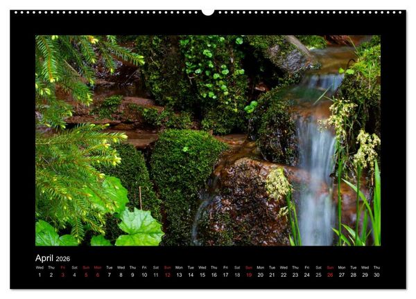 Produktbild: The Black Forest - UK Version (High Quality Premium Wall Calendar 2026 DIN A2 landscape),CALVENDO 12 Month Wall Calendar
