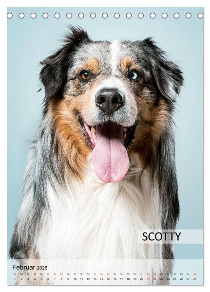 Produktbild: Hundekalender - Hunderassen im Portrait (Tischkalender 2026 DIN A5 hoch), CALVENDO Monatskalender