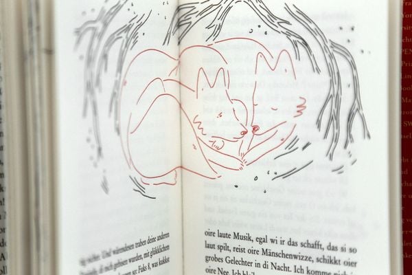 Produktbild: Fuchs 8