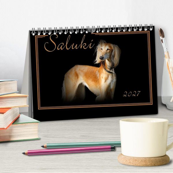 Produktbild: Saluki 2027 (Tischkalender 2027 DIN A5 quer), CALVENDO Monatskalender