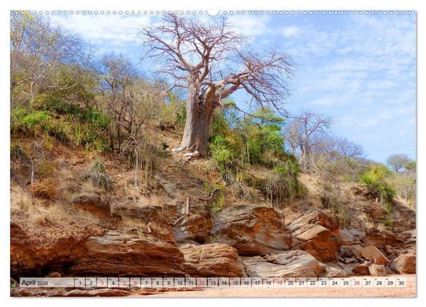 Produktbild: Tansania. Impressionen aus Ostafrika (hochwertiger Premium Wandkalender 2026 DIN A2 quer), Kunstdruck in Hochglanz