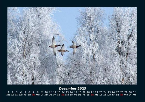 Produktbild: Winterzauber 2025 Fotokalender DIN A4