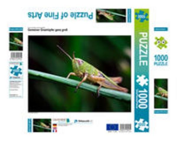 CALVENDO Puzzle Gemeiner Grashüpfer ganz groß | 1000 Teile Lege-Größe 64x48cm Foto-Puzzle für glückliche Stunden