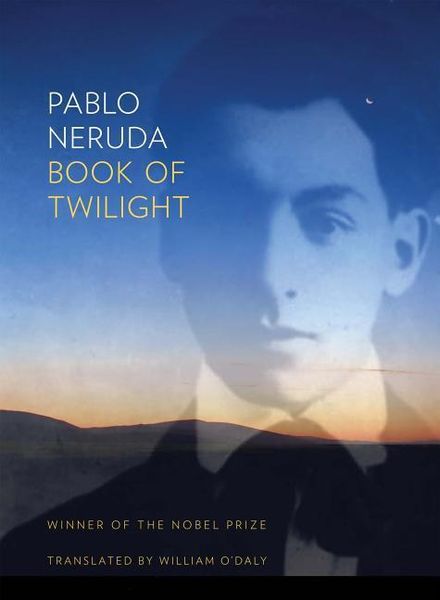 Produktbild: Book of Twilight