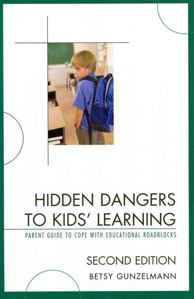 Produktbild: Gunzelmann, B: Hidden Dangers to Kids' Learning