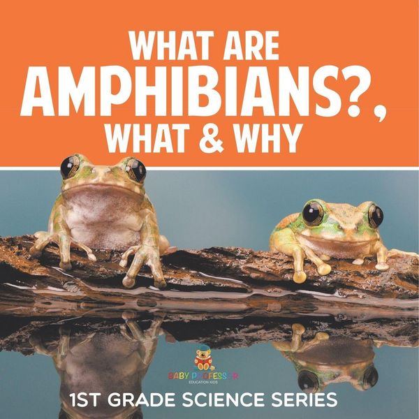 Produktbild: What Are Amphibians?, What & Why