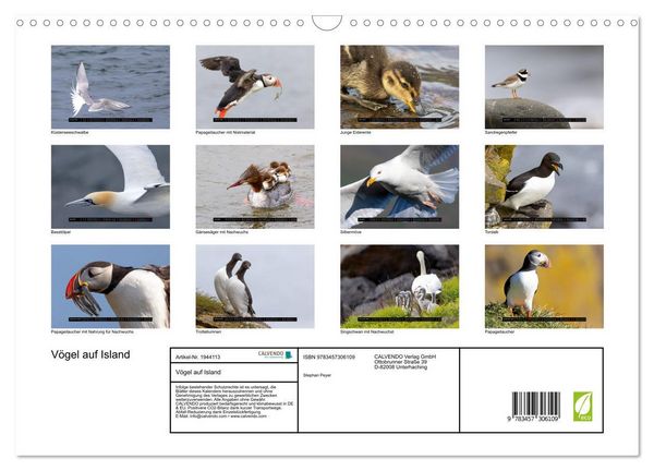 Produktbild: V&ouml;gel auf Island (Wandkalender 2026 DIN A3 quer), CALVENDO Monatskalender