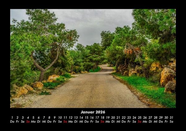 Produktbild: B&auml;ume 2026 Fotokalender DIN A3